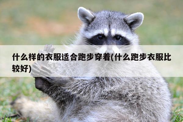 什么样的衣服适合跑步穿着(什么跑步衣服比较好)