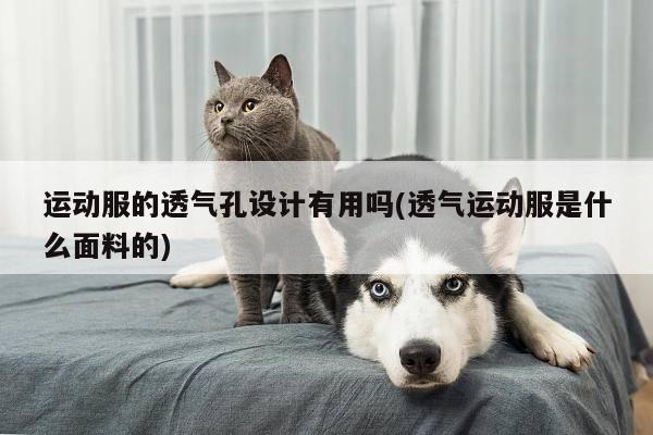 运动服的透气孔设计有用吗(透气运动服是什么面料的)