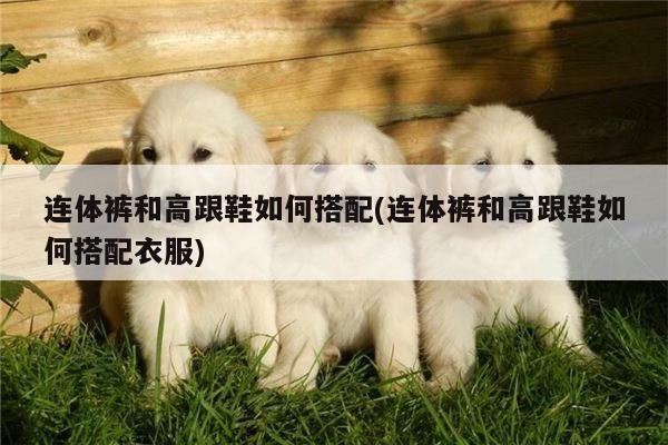 连体裤和高跟鞋如何搭配(连体裤和高跟鞋如何搭配衣服)