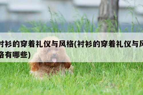 衬衫的穿着礼仪与风格(衬衫的穿着礼仪与风格有哪些)