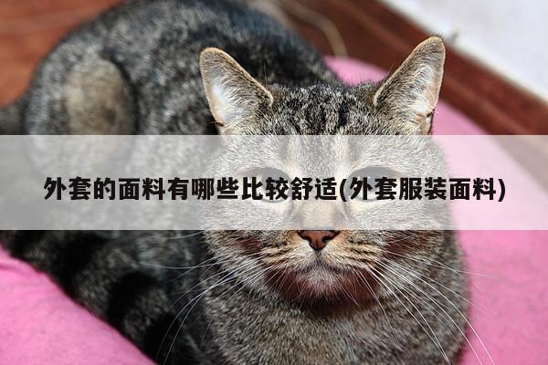 外套的面料有哪些比较舒适(外套服装面料)