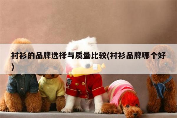 衬衫的品牌选择与质量比较(衬衫品牌哪个好)