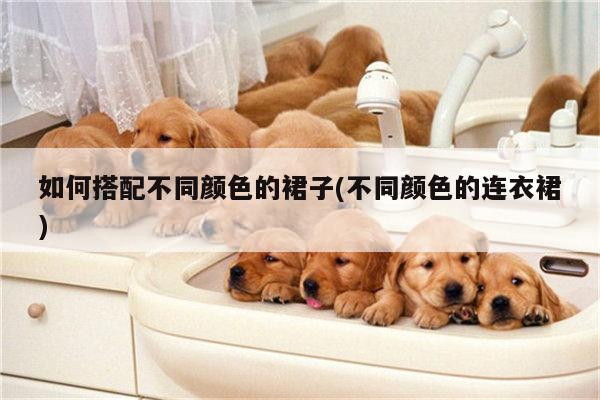 如何搭配不同颜色的裙子(不同颜色的连衣裙)