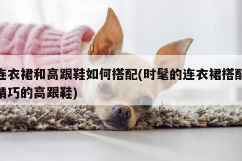 连衣裙和高跟鞋如何搭配(时髦的连衣裙搭配精巧的高跟鞋)