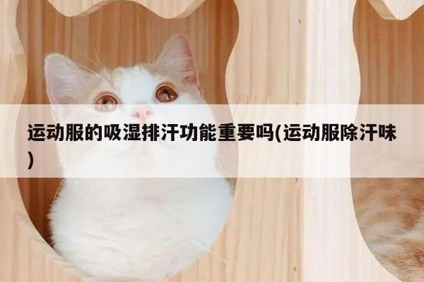 运动服的吸湿排汗功能重要吗(运动服除汗味)