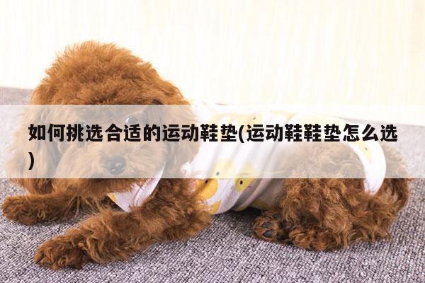 如何挑选合适的运动鞋垫(运动鞋鞋垫怎么选)