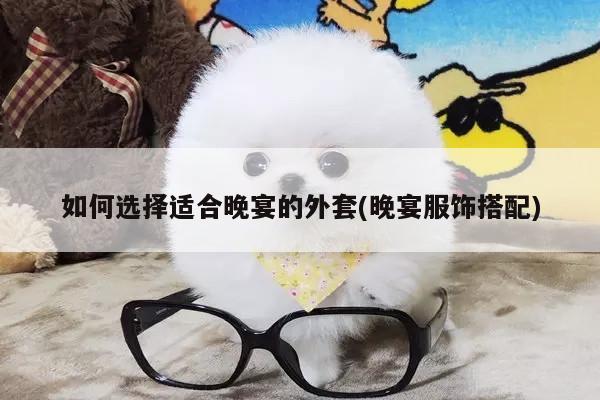 如何选择适合晚宴的外套(晚宴服饰搭配)