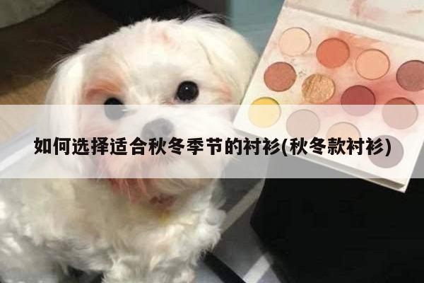 如何选择适合秋冬季节的衬衫(秋冬款衬衫)