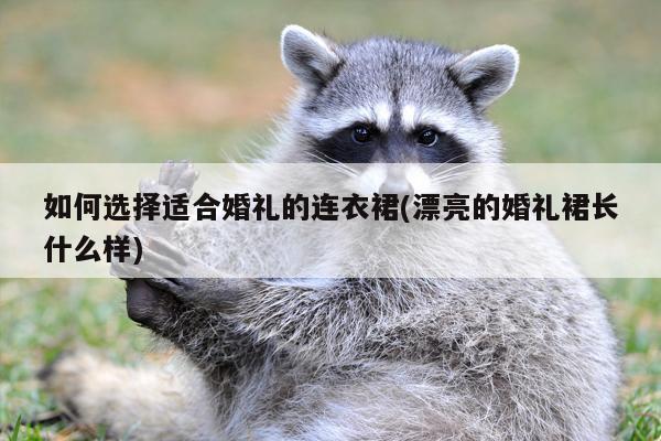 如何选择适合婚礼的连衣裙(漂亮的婚礼裙长什么样)