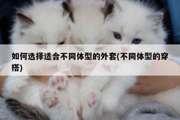 如何选择适合不同体型的外套(不同体型的穿搭)