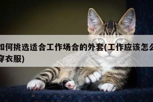 如何挑选适合工作场合的外套(工作应该怎么穿衣服)
