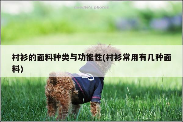 衬衫的面料种类与功能性(衬衫常用有几种面料)