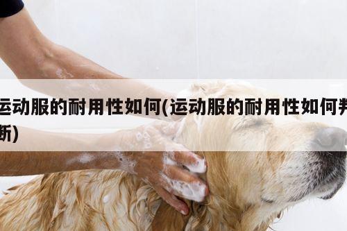 运动服的耐用性如何(运动服的耐用性如何判断)