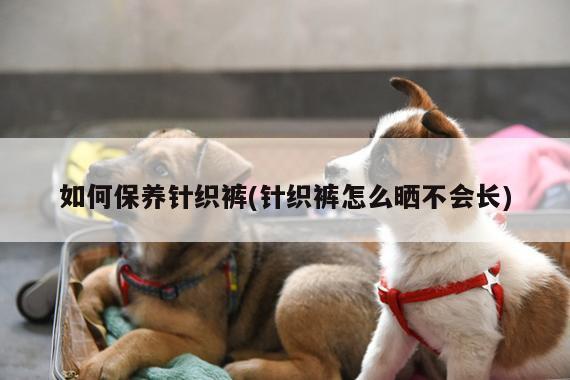 如何保养针织裤(针织裤怎么晒不会长)