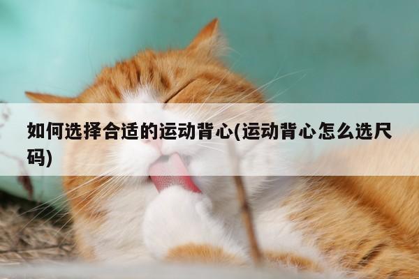 如何选择合适的运动背心(运动背心怎么选尺码)