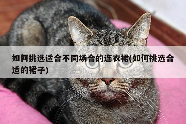 如何挑选适合不同场合的连衣裙(如何挑选合适的裙子)