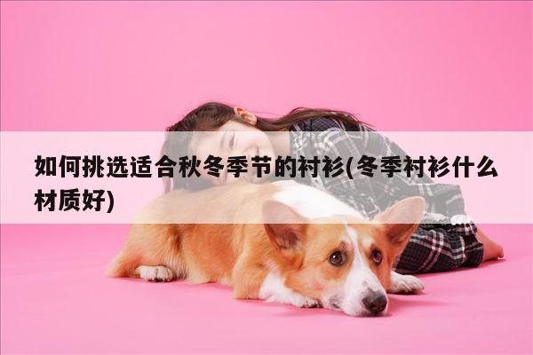 如何挑选适合秋冬季节的衬衫(冬季衬衫什么材质好)