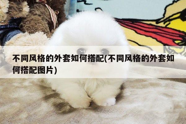 不同风格的外套如何搭配(不同风格的外套如何搭配图片)