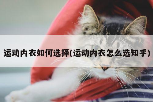 运动内衣如何选择(运动内衣怎么选知乎)