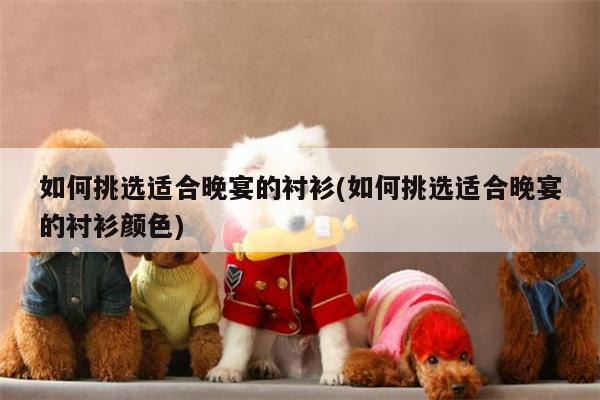 如何挑选适合晚宴的衬衫(如何挑选适合晚宴的衬衫颜色)