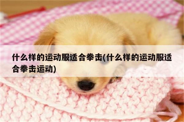 什么样的运动服适合拳击(什么样的运动服适合拳击运动)