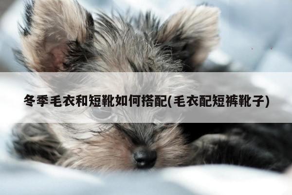 冬季毛衣和短靴如何搭配(毛衣配短裤靴子)