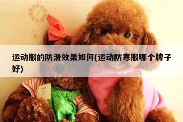 运动服的防滑效果如何(运动防寒服哪个牌子好)