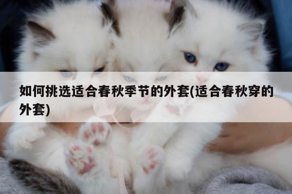 如何挑选适合春秋季节的外套(适合春秋穿的外套)