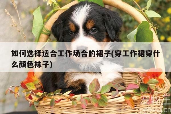 如何选择适合工作场合的裙子(穿工作裙穿什么颜色袜子)