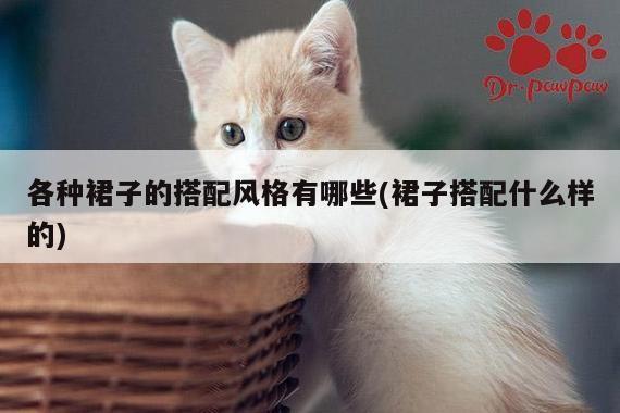 各种裙子的搭配风格有哪些(裙子搭配什么样的)