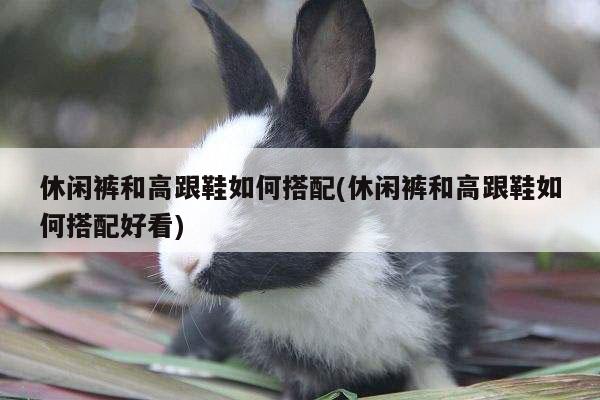 休闲裤和高跟鞋如何搭配(休闲裤和高跟鞋如何搭配好看)