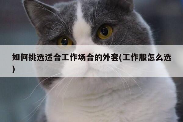 如何挑选适合工作场合的外套(工作服怎么选)