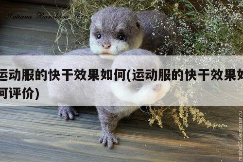 运动服的快干效果如何(运动服的快干效果如何评价)