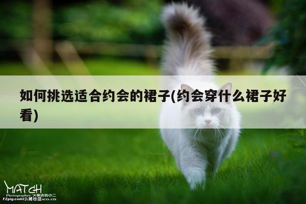 如何挑选适合约会的裙子(约会穿什么裙子好看)