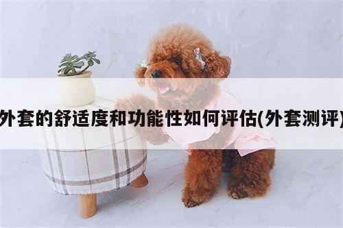 外套的舒适度和功能性如何评估(外套测评)