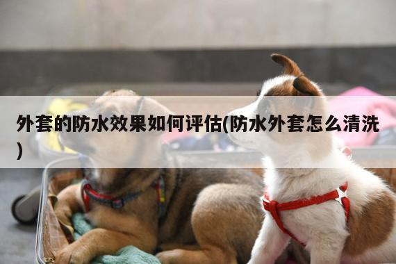 外套的防水效果如何评估(防水外套怎么清洗)