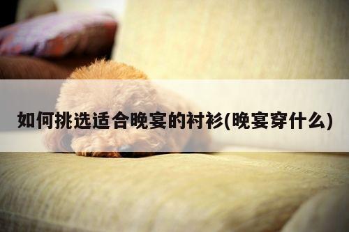 如何挑选适合晚宴的衬衫(晚宴穿什么)