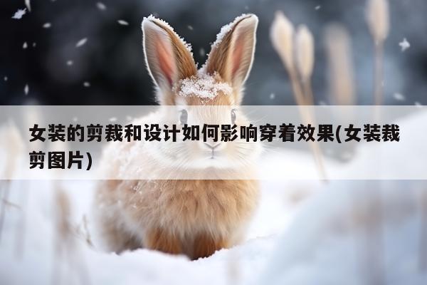 女装的剪裁和设计如何影响穿着效果(女装裁剪图片)
