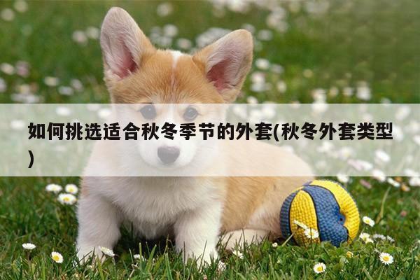 如何挑选适合秋冬季节的外套(秋冬外套类型)