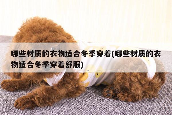 哪些材质的衣物适合冬季穿着(哪些材质的衣物适合冬季穿着舒服)