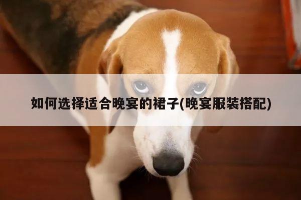 如何选择适合晚宴的裙子(晚宴服装搭配)