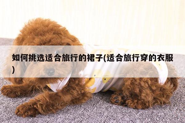 如何挑选适合旅行的裙子(适合旅行穿的衣服)