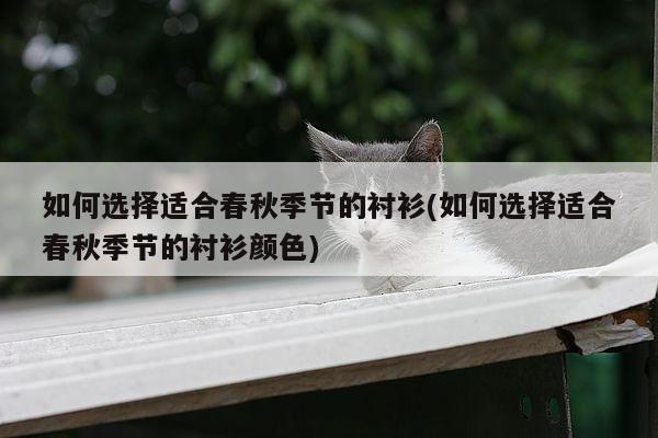 如何选择适合春秋季节的衬衫(如何选择适合春秋季节的衬衫颜色)