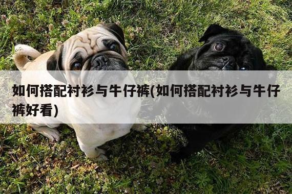 如何搭配衬衫与牛仔裤(如何搭配衬衫与牛仔裤好看)
