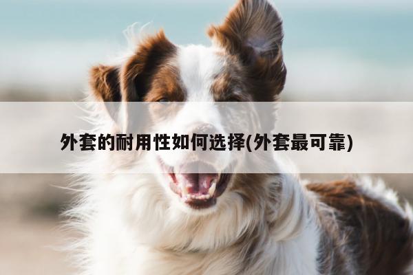外套的耐用性如何选择(外套最可靠)