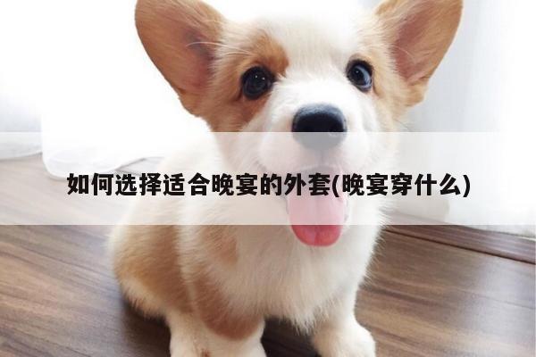 如何选择适合晚宴的外套(晚宴穿什么)