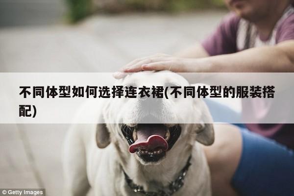 不同体型如何选择连衣裙(不同体型的服装搭配)