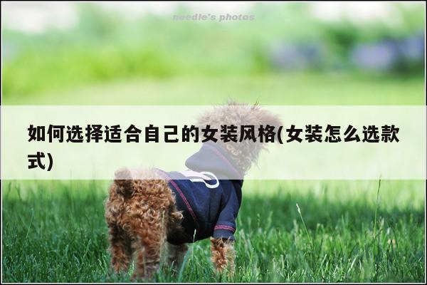 如何选择适合自己的女装风格(女装怎么选款式)