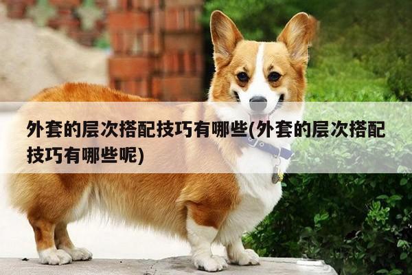 外套的层次搭配技巧有哪些(外套的层次搭配技巧有哪些呢)