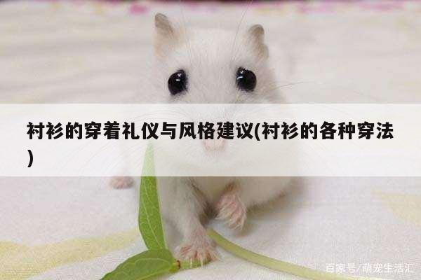 衬衫的穿着礼仪与风格建议(衬衫的各种穿法)